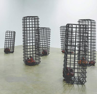 Mona Hatoum Cellules