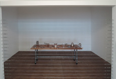 Mona Hatoum Home