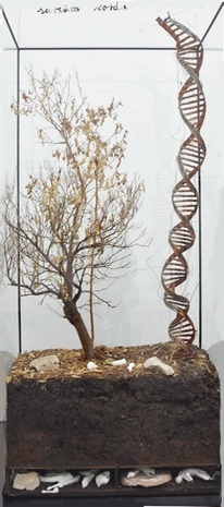 Anselm Kiefer Sursum Corda