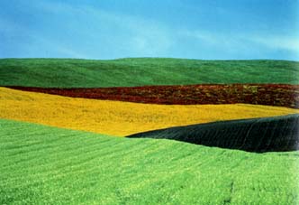 Franco Fontana