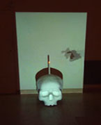 Tony Oursler the flame